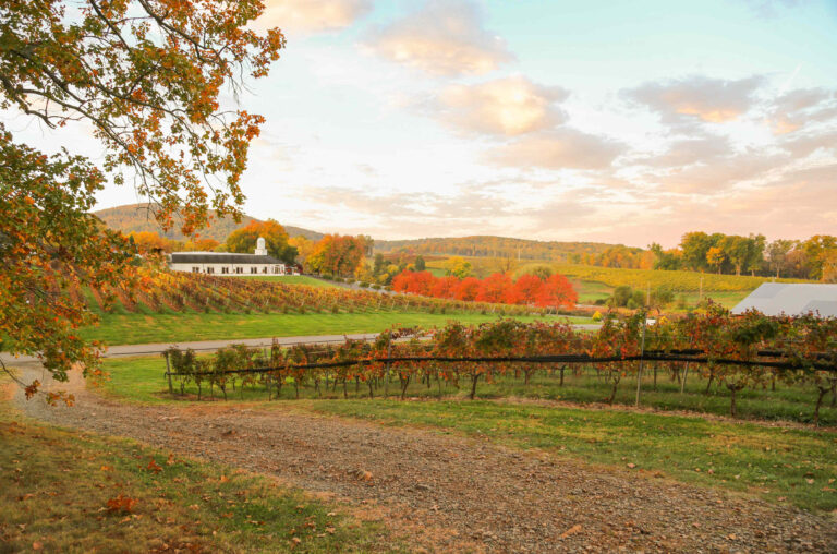This friendly Virginia town has mountain views and the best little Main Street in the state