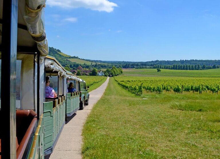 The ‘magnificent’ £12 vineyard train tour that’s just an hour outside of London
