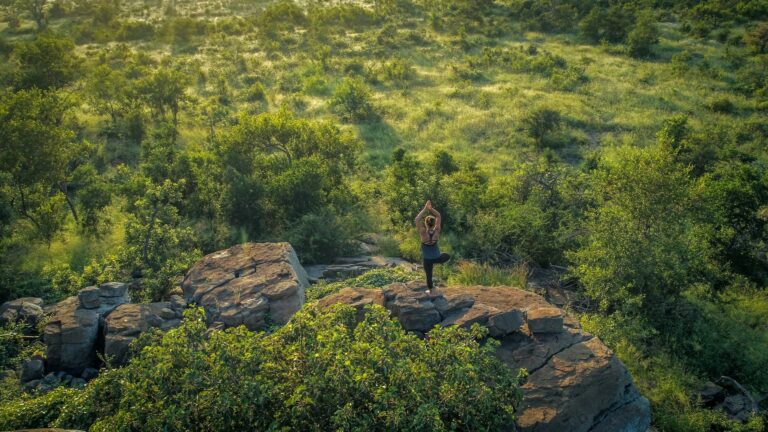 These South African wellness retreats show a wilder way to unwind