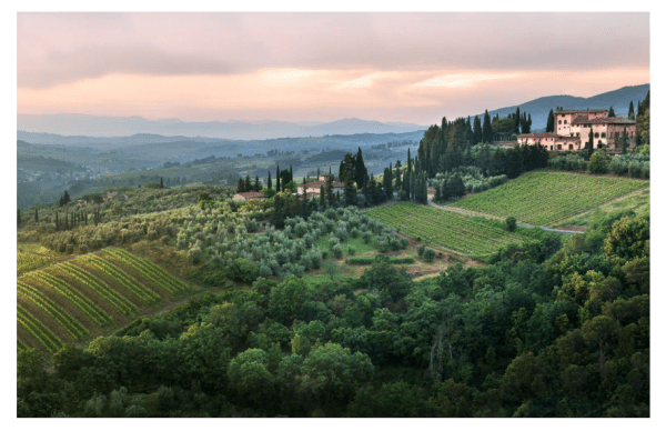 Uncork la dolce vita at Vignamaggio in Tuscany